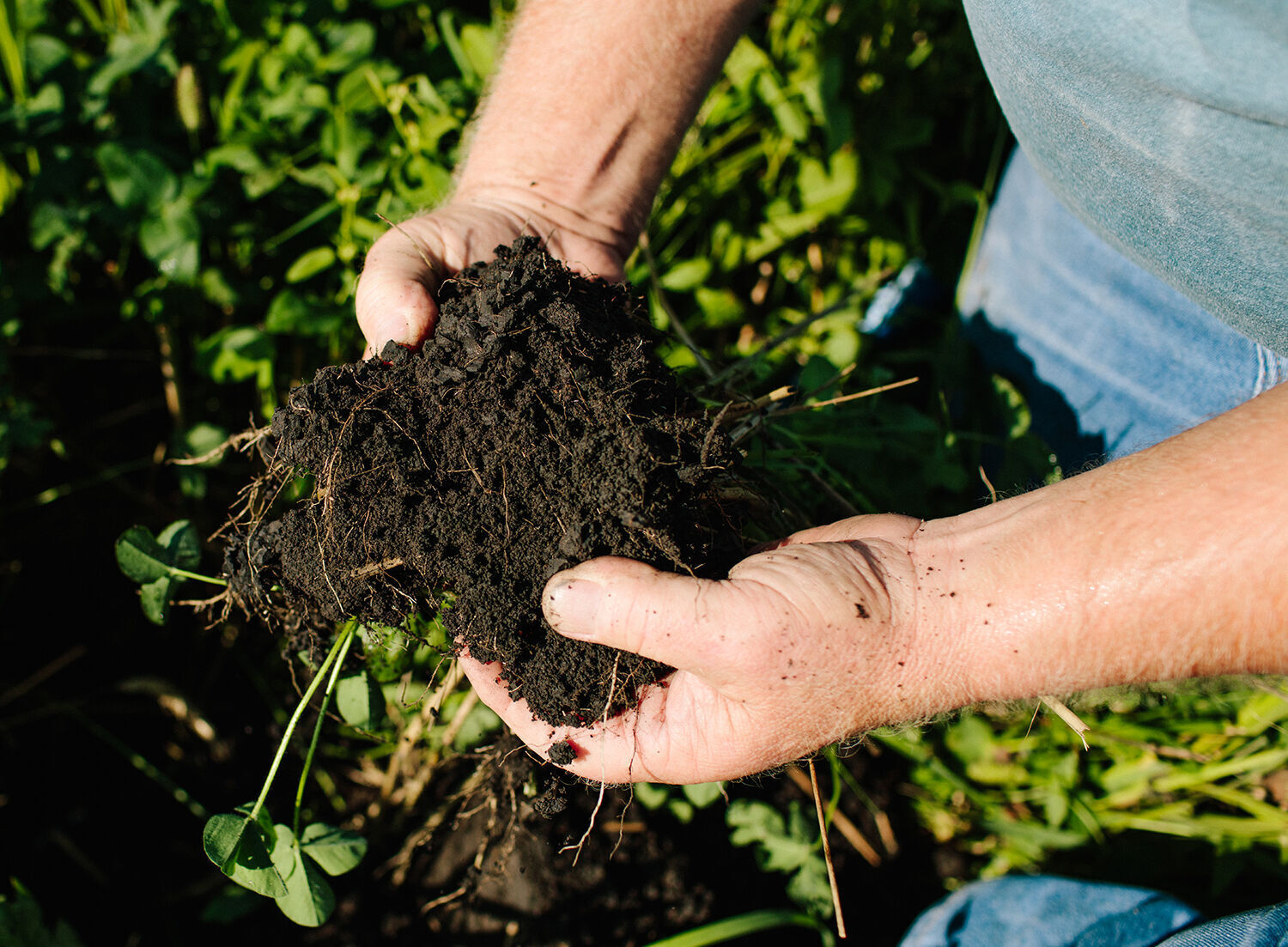 Janie's Farm soil